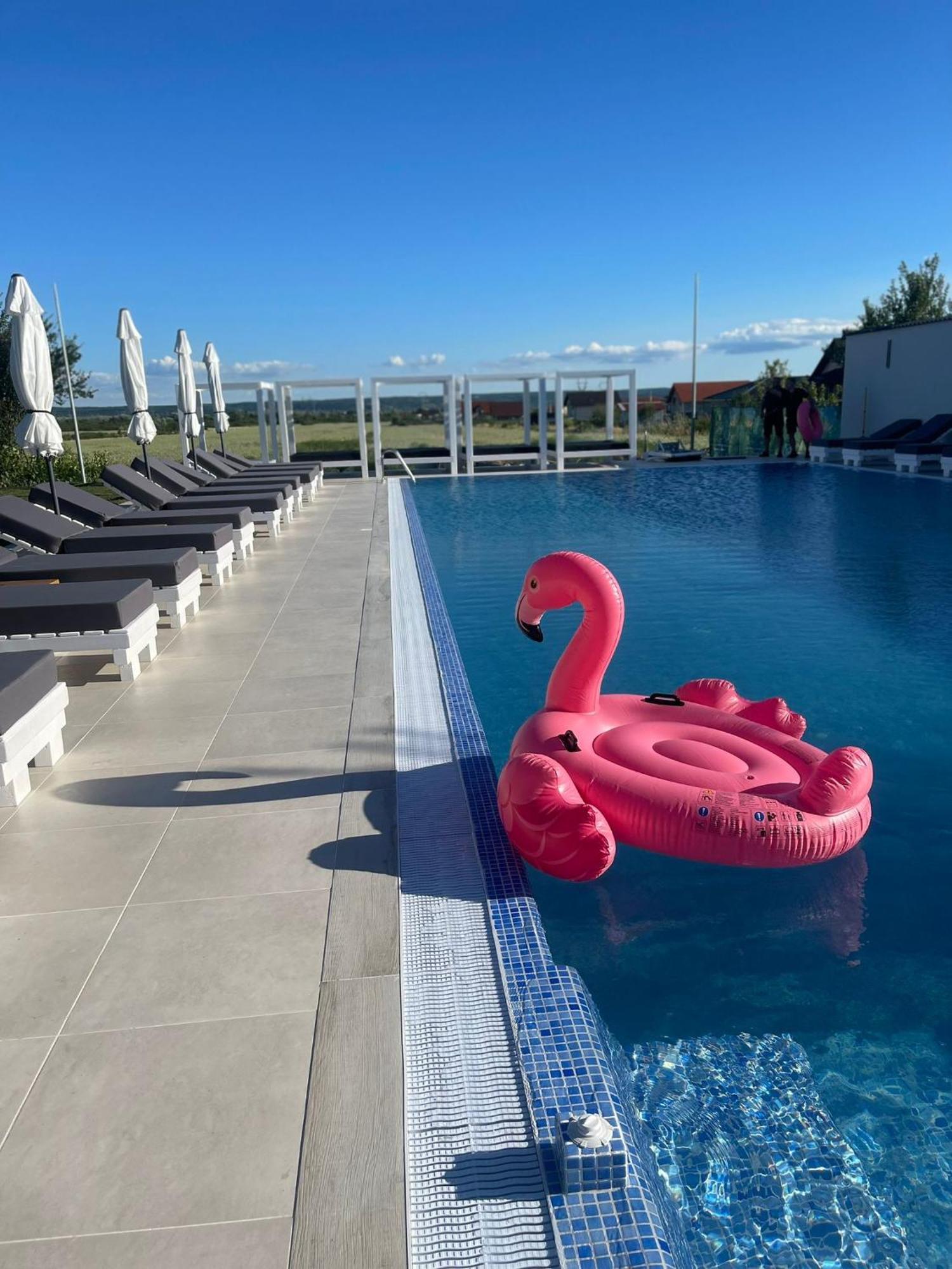 Hotel Goya Boutique Targu Jiu Luaran gambar